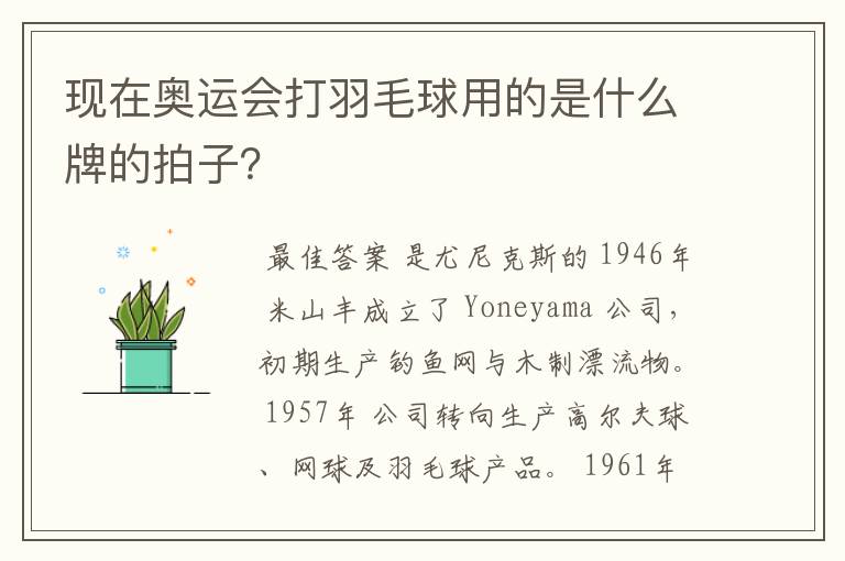 现在奥运会打羽毛球用的是什么牌的拍子?