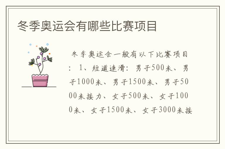 冬季奥运会有哪些比赛项目
