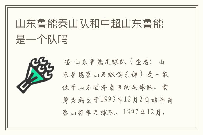 山东鲁能泰山队和中超山东鲁能是一个队吗