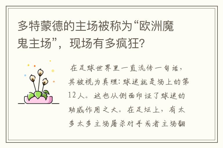 多特蒙德的主场被称为“欧洲魔鬼主场”,现场有多疯狂?