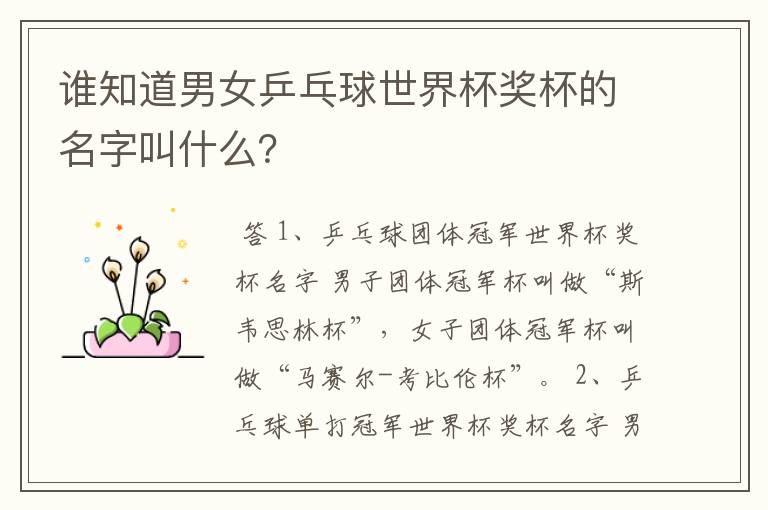 谁知道男女乒乓球世界杯奖杯的名字叫什么?