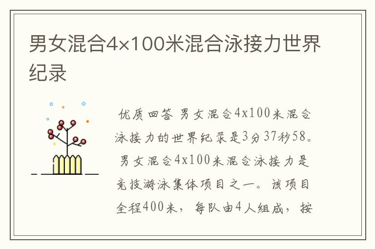 男女混合4×100米混合泳接力世界纪录