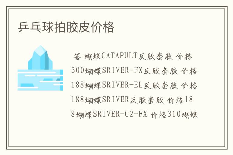 乒乓球拍胶皮价格