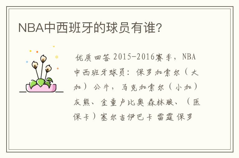 NBA中西班牙的球员有谁?