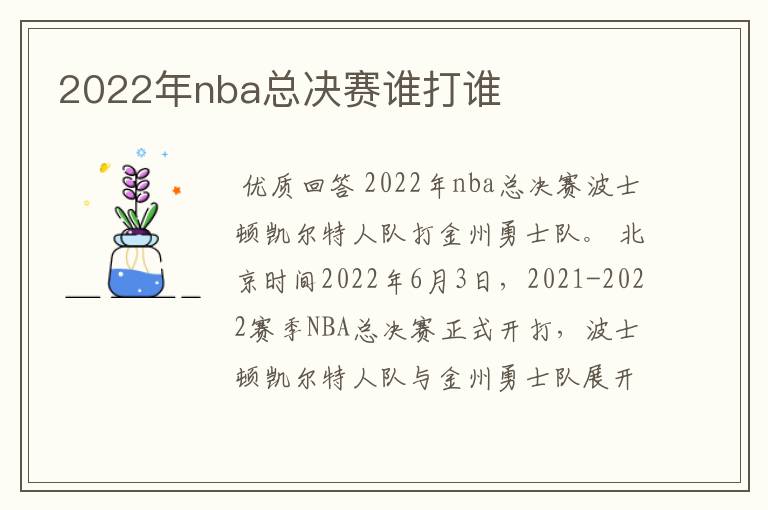 2022年nba总决赛谁打谁
