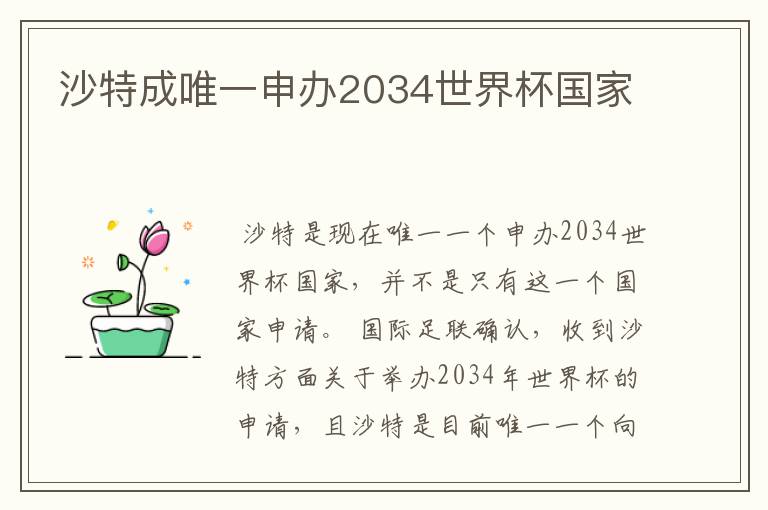 沙特成唯一申办2034世界杯国家