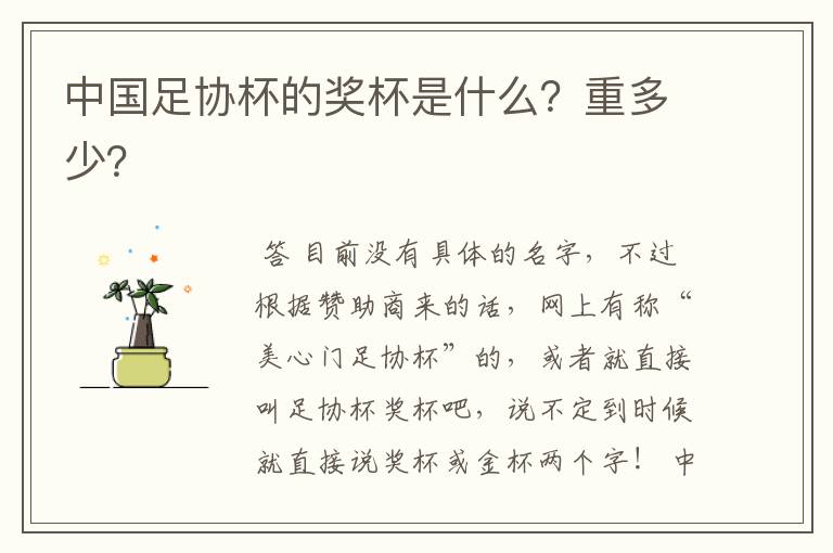 中国足协杯的奖杯是什么?重多少?
