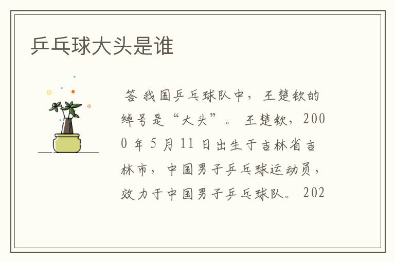 乒乓球大头是谁