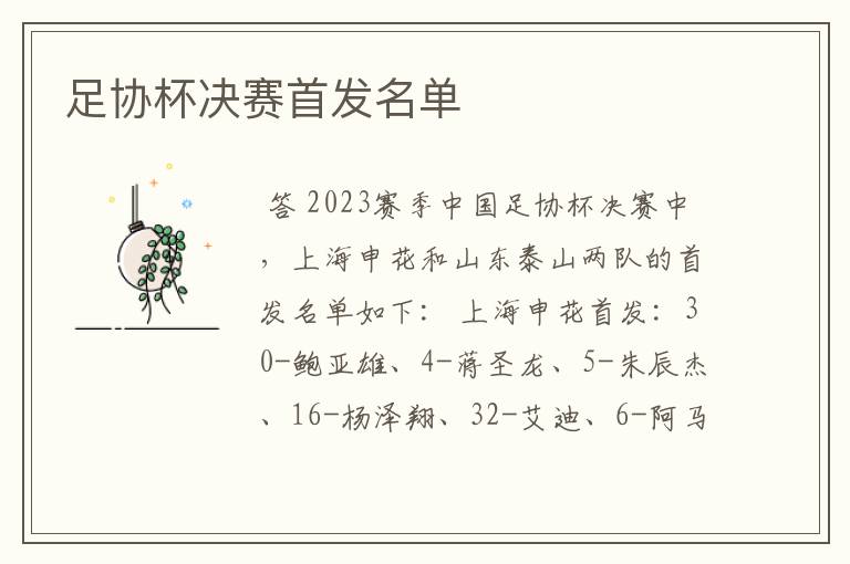 足协杯决赛首发名单