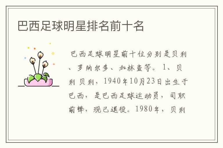 巴西足球明星排名前十名