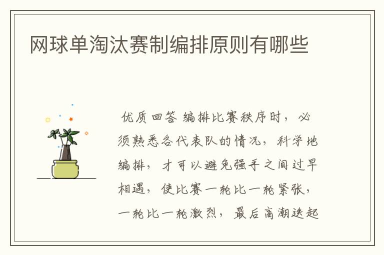 网球单淘汰赛制编排原则有哪些