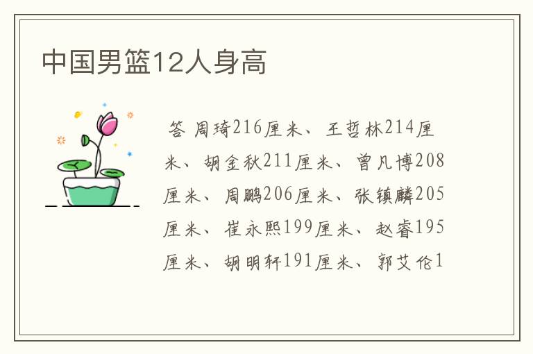 中国男篮12人身高