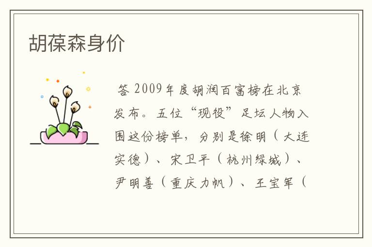 胡葆森身价