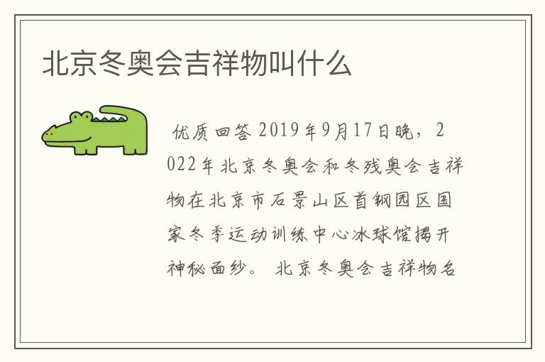 北京冬奥会吉祥物叫什么