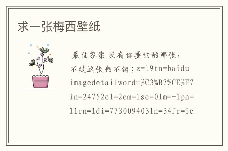 求一张梅西壁纸