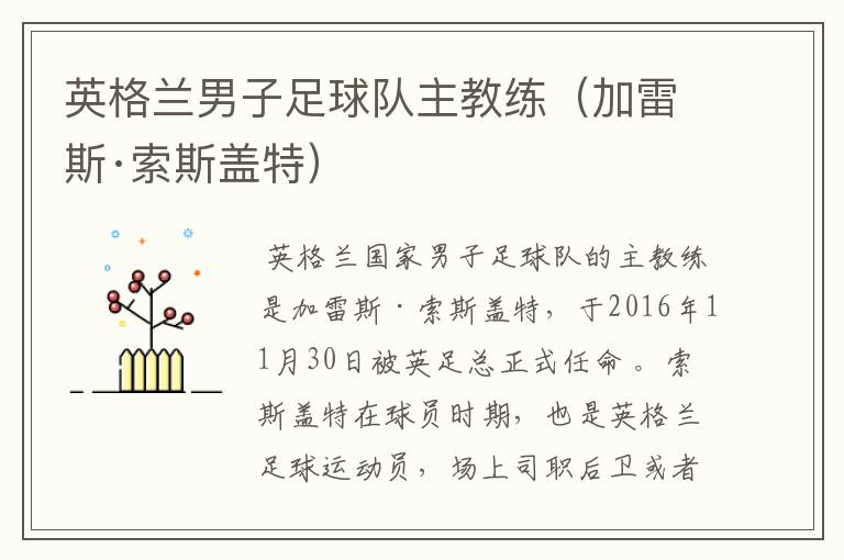 英格兰男子足球队主教练(加雷斯·索斯盖特)