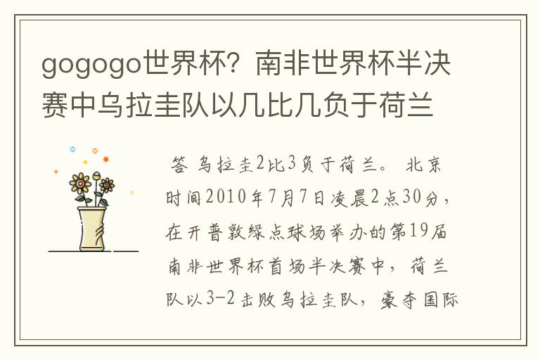 gogogo世界杯?南非世界杯半决赛中乌拉圭队以几比几负于荷兰队