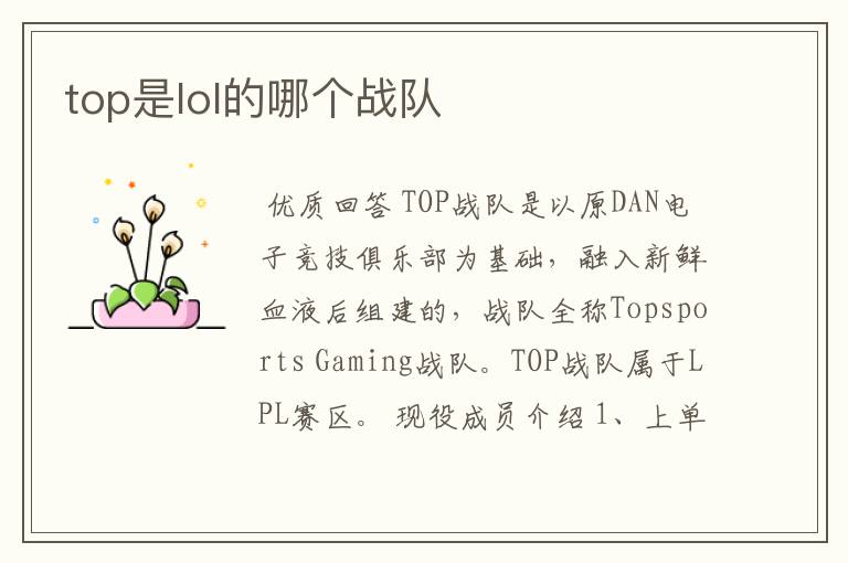 top是lol的哪个战队