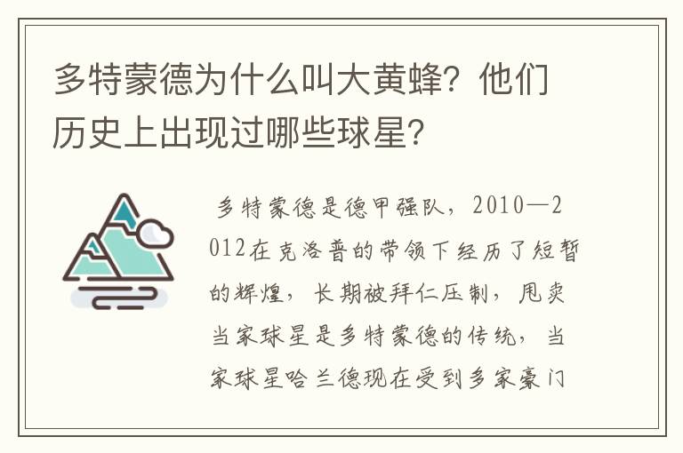 多特蒙德为什么叫大黄蜂?他们历史上出现过哪些球星?