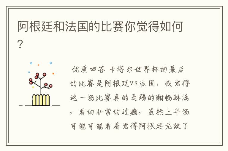 阿根廷和法国的比赛你觉得如何?