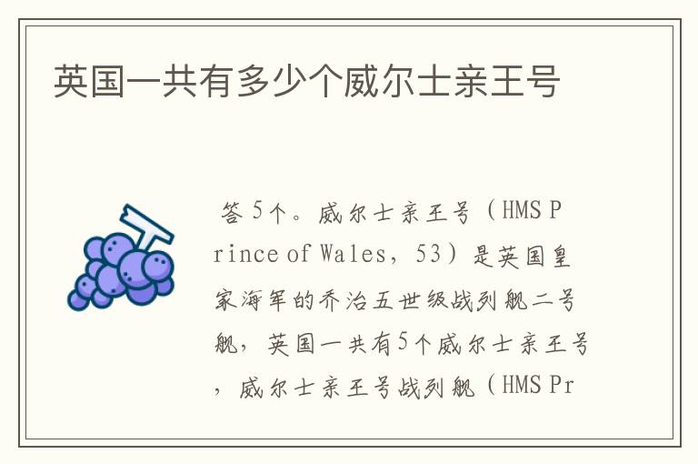 英国一共有多少个威尔士亲王号