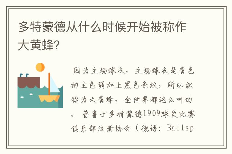 多特蒙德从什么时候开始被称作大黄蜂?