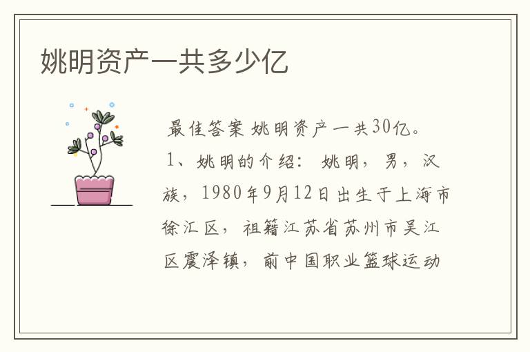 姚明资产一共多少亿