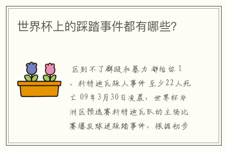 世界杯上的踩踏事件都有哪些?