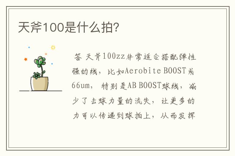 天斧100是什么拍?