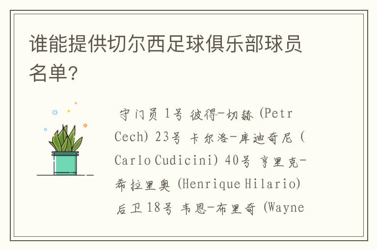 谁能提供切尔西足球俱乐部球员名单?