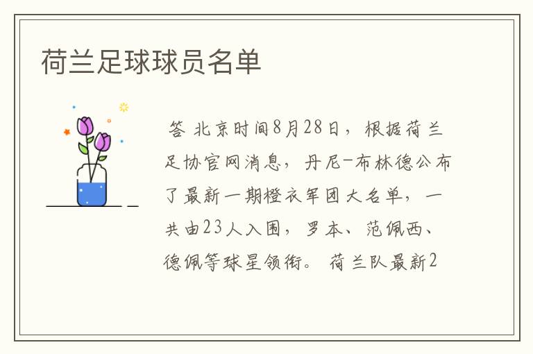 荷兰足球球员名单