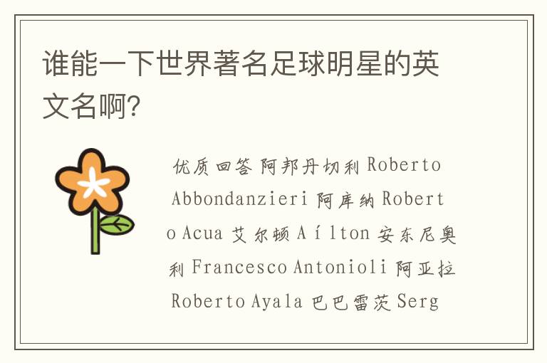 谁能一下世界著名足球明星的英文名啊?