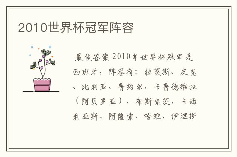 2010世界杯冠军阵容