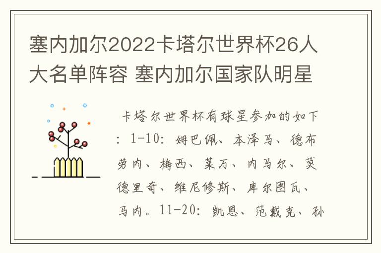 塞内加尔2022卡塔尔世界杯26人大名单阵容 塞内加尔国家队明星球员