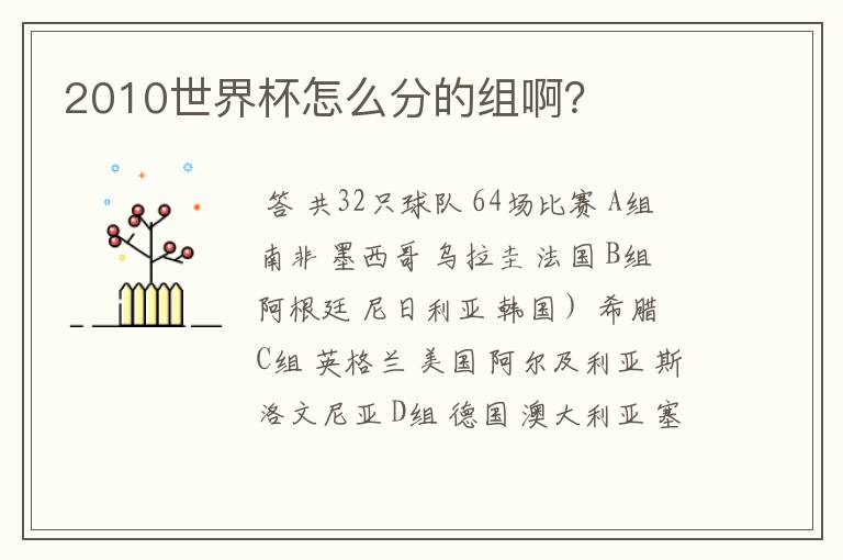 2010世界杯怎么分的组啊?