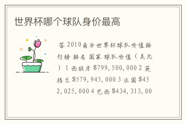 世界杯哪个球队身价最高