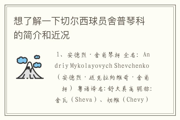 想了解一下切尔西球员舍普琴科的简介和近况