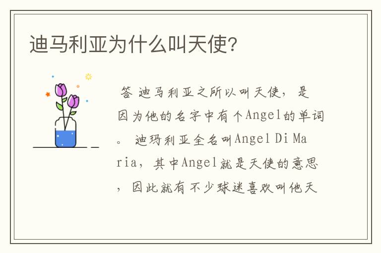 迪马利亚为什么叫天使?