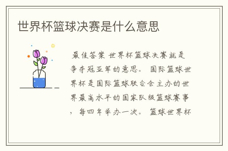 世界杯篮球决赛是什么意思