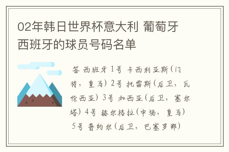 02年韩日世界杯意大利 葡萄牙 西班牙的球员号码名单