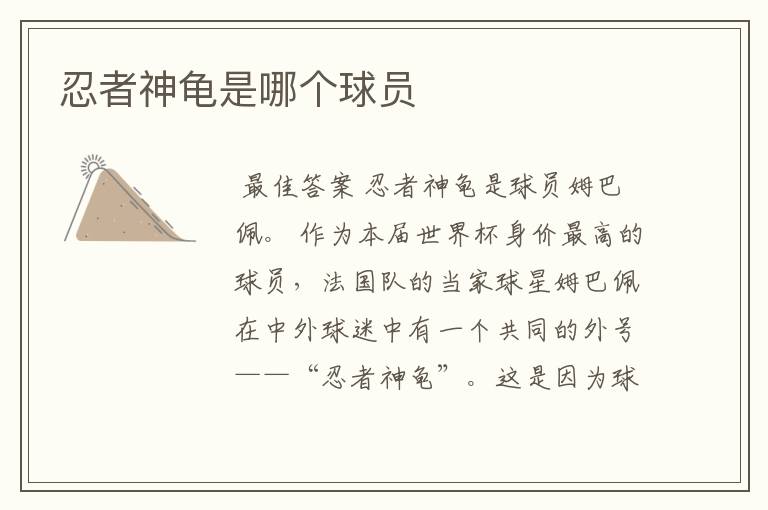 忍者神龟是哪个球员