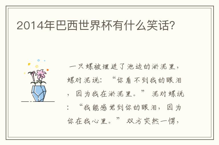 2014年巴西世界杯有什么笑话？