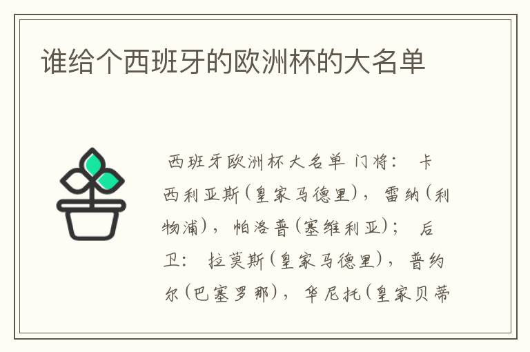 谁给个西班牙的欧洲杯的大名单