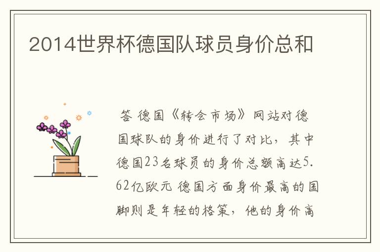 2014世界杯德国队球员身价总和