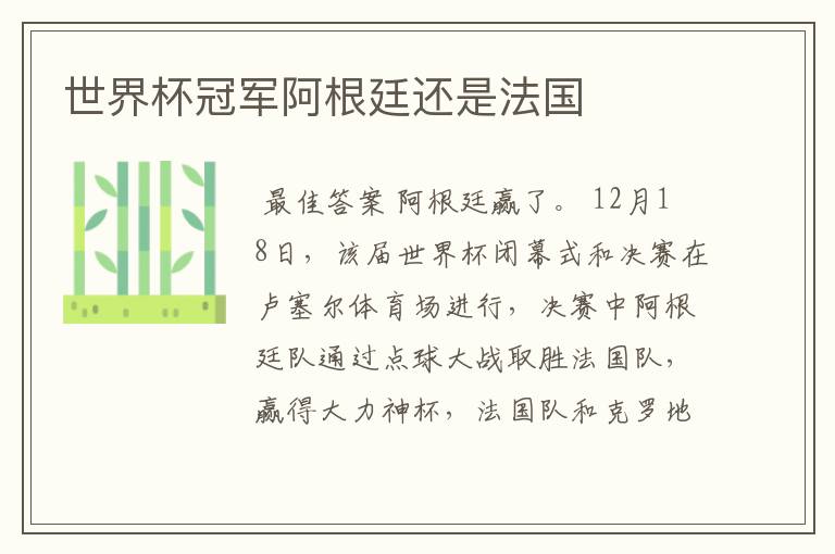 世界杯冠军阿根廷还是法国