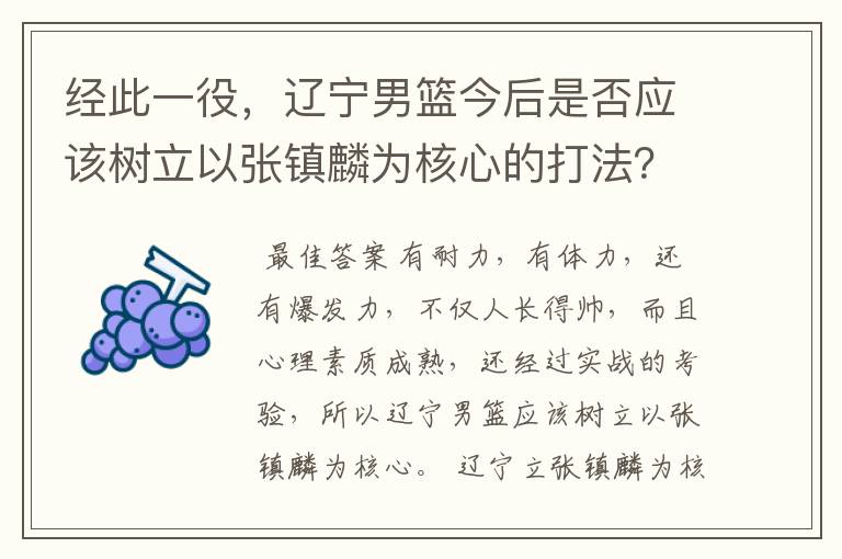 经此一役,辽宁男篮今后是否应该树立以张镇麟为核心的打法?