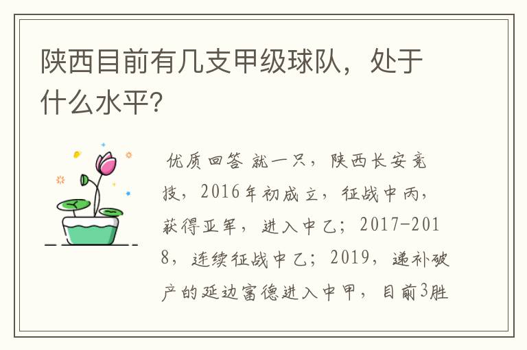 陕西目前有几支甲级球队，处于什么水平？
