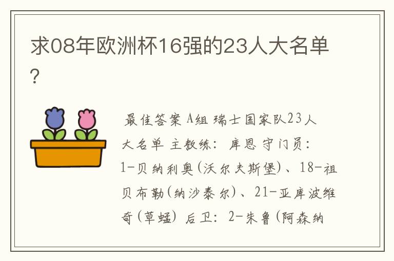求08年欧洲杯16强的23人大名单?
