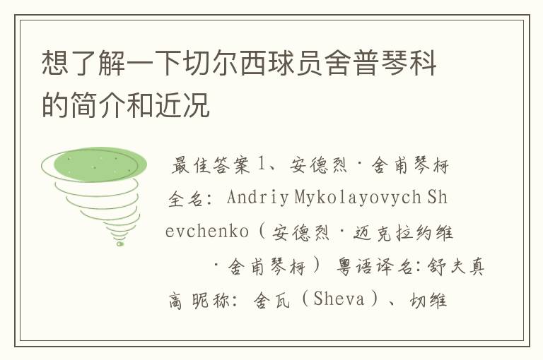 想了解一下切尔西球员舍普琴科的简介和近况