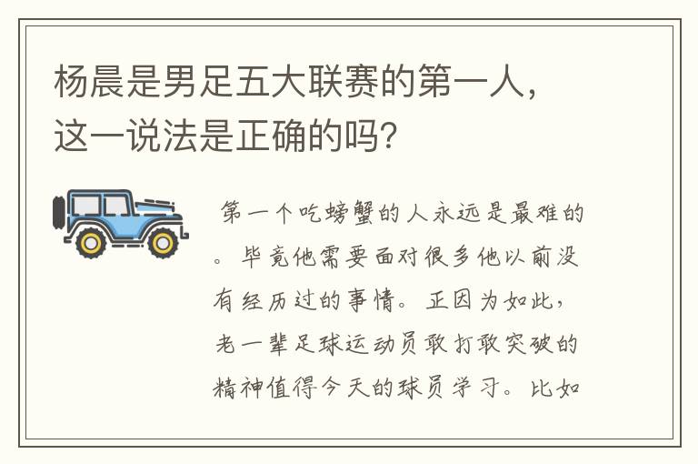 杨晨是男足五大联赛的第一人,这一说法是正确的吗?